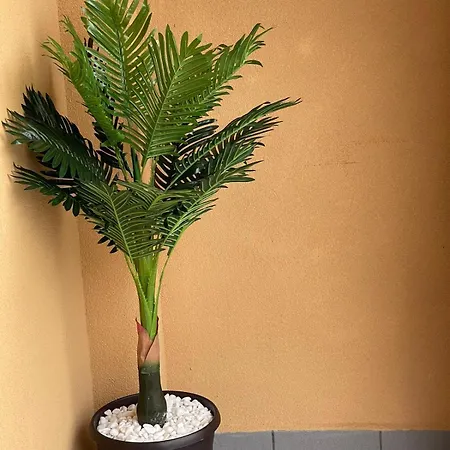 K.k Elenite Astoria 5 * סבטי ולאס