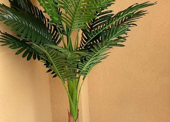 K.k Elenite Astoria 5 סבטי ולאס