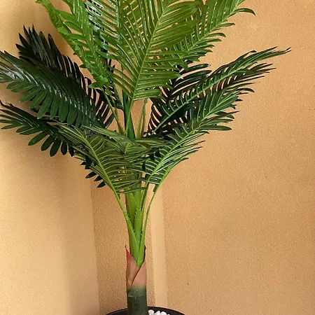 K.k Elenite Astoria 5 Sveti Vlas