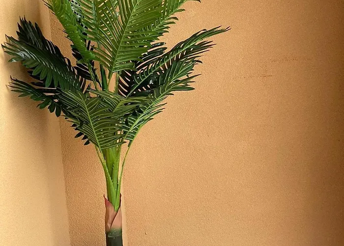 K.k Elenite Astoria 5 * Sveti Vlas